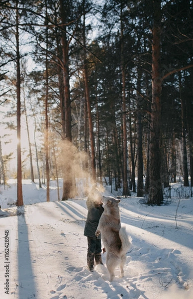 Obraz person walking in the snow