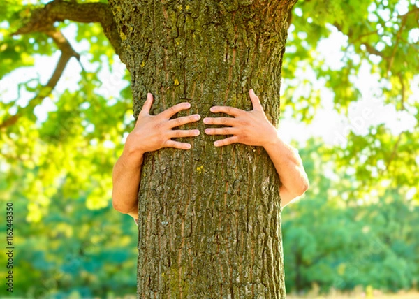 Obraz human hands hugging tree, care and protection