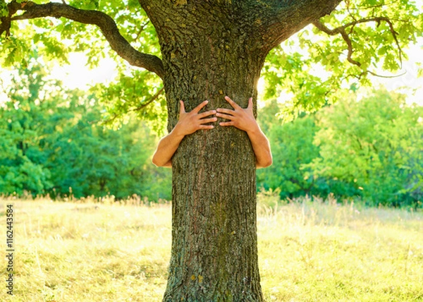 Fototapeta human hands hugging tree, care and protection