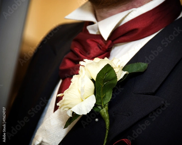 Obraz Cravat and Buttonhole