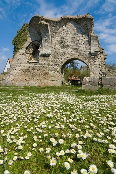 Fototapeta Daises and Ruins