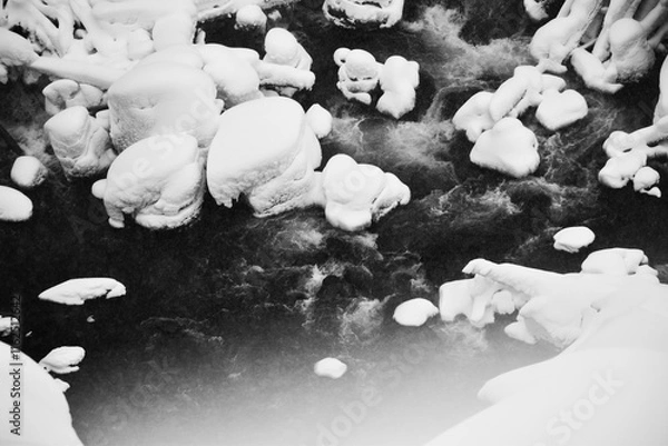 Fototapeta black and white background of overgrown wilderness in winter