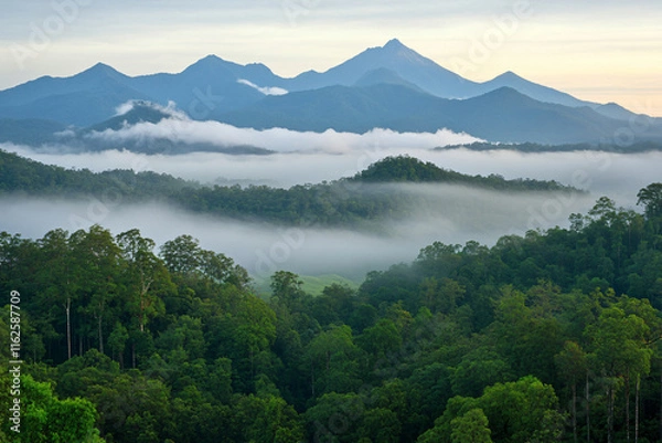 Fototapeta Stunning view of Knuckles Mountain Range with misty peaks and lush greenery. serene landscape evokes sense of tranquility and natural beauty