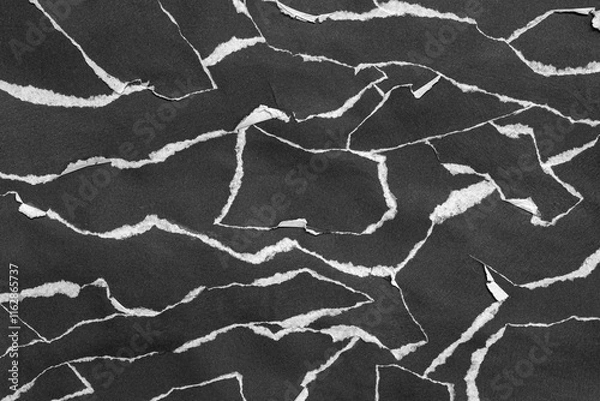 Fototapeta Black and White Torn Paper Collage Style, Ripped Paper Effect, Texture Abstract Background, Copy Space for Text.