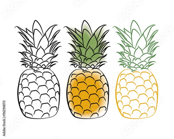 Obraz Trzy ananas na białym tle