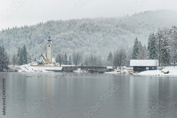 Obraz Scenic winter view of Bohinj lake in Gorenjska, Julian alps