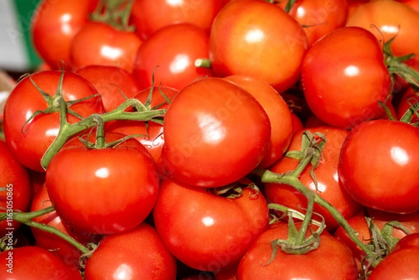 Obraz Ripe red tomatoes