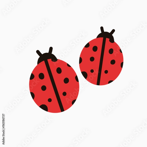 Obraz animal lady bug in here having red and black color
