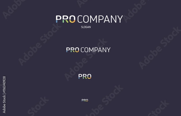Obraz Pro colored line letter flat logo