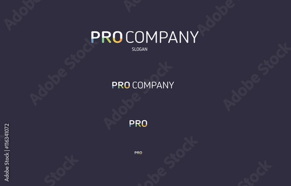 Obraz Pro colored flat logo