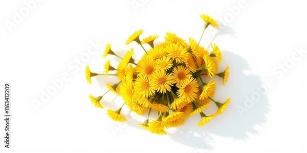 Fototapeta A vibrant bouquet of sunny yellow wildflowers arranged in a circular pattern against a bright white backdrop
