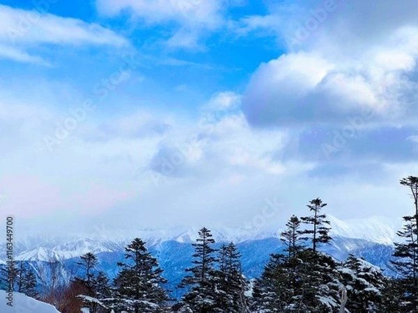 Obraz 雪景色と広い空