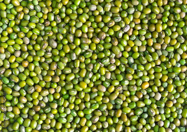 Obraz Green bean or mung bean background