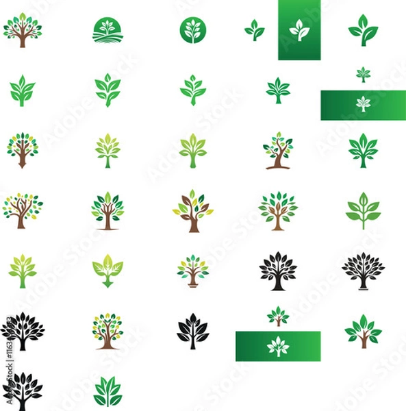Fototapeta Complete Collection of Trees, Fully Editable Vector Design Set