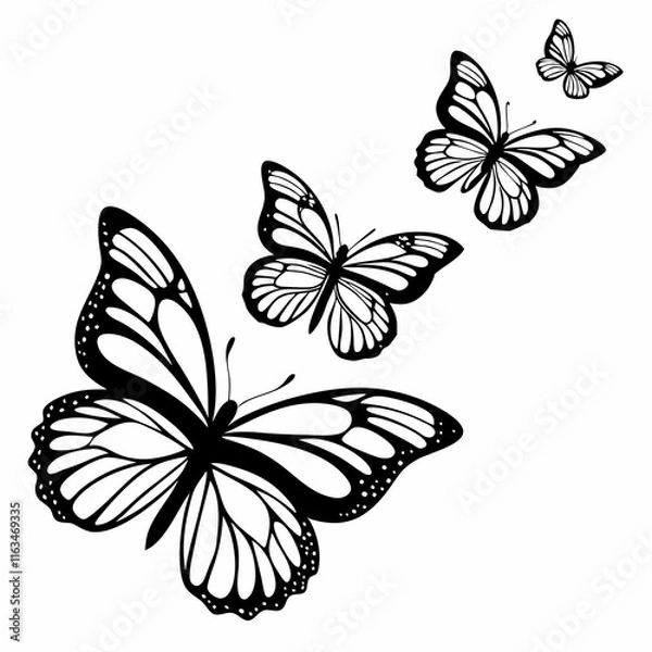 Fototapeta black and white butterfly