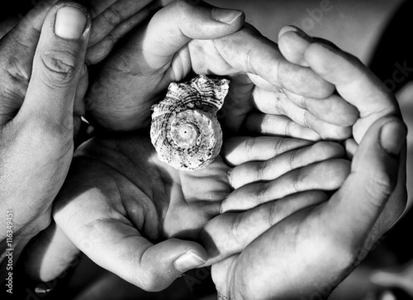 Obraz conchiglia tra le mani