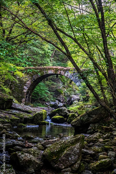 Fototapeta 자연의아름다움