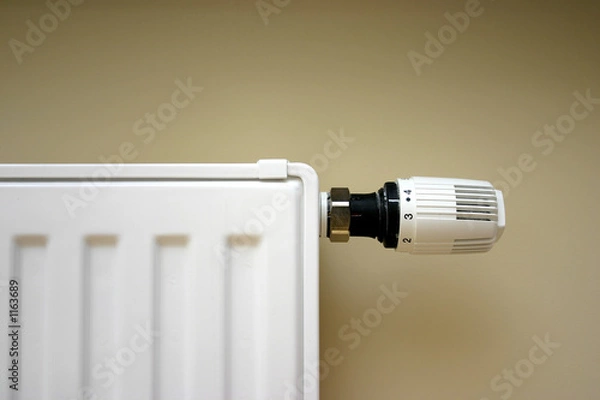 Obraz radiator thermostat set optimal