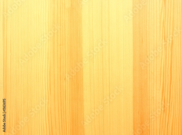 Obraz pine wood