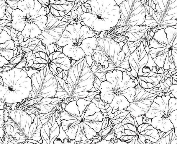 Fototapeta Vector seamless pattern with hand drawn bindweed flowers. 