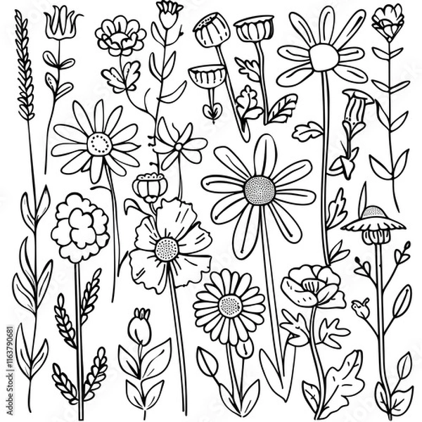 Fototapeta Black and white thread sketches of All kinds of little daisies and flowers and grasses, Generative ai
