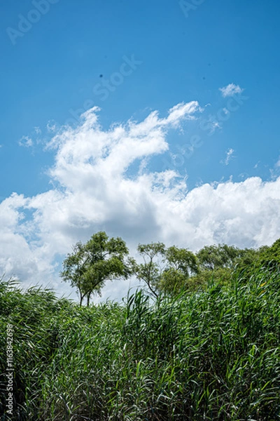 Fototapeta 자연 하늘