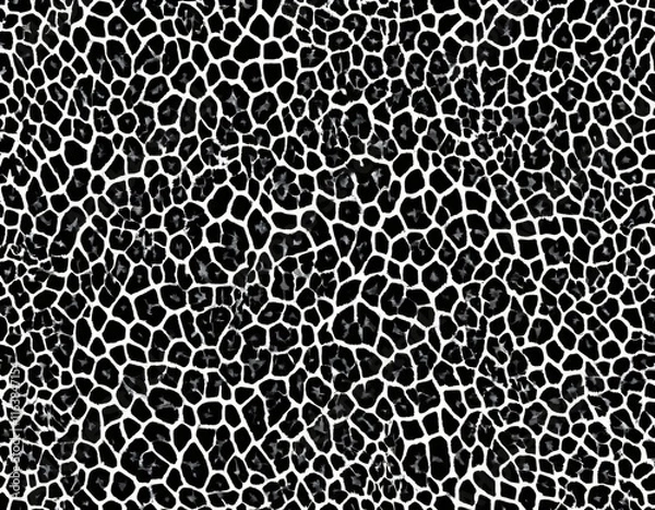 Fototapeta 표범 패턴 질감