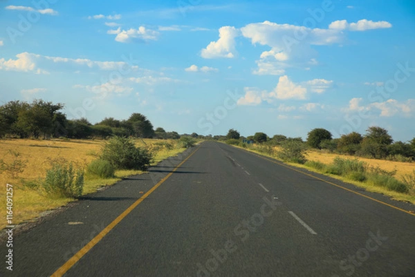 Fototapeta The Trans-Kalahari Corridor is a paved highway corridor that provides a direct connection from the port of Walvis Bay and Windhoek in central Namibia. Endless long asphalt road. Namibia Africa.