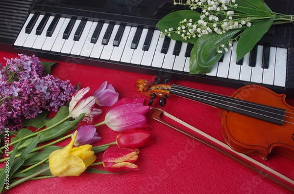 Fototapeta Violin, bow, synthesizer keyboard and a bouquet of flowers on a red background.