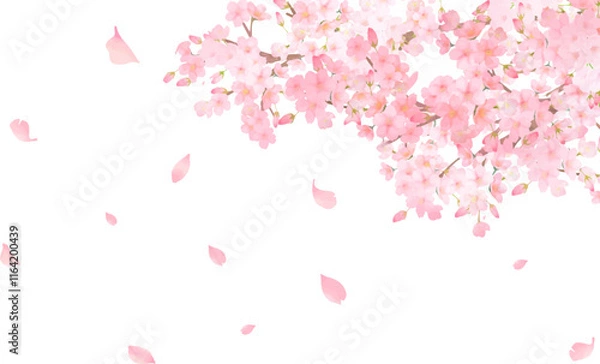 Obraz 桜の木ー美しい薄いピンク色の桜の花と花びら春の水彩白バックフレーム背景素材イラスト