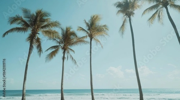 Fototapeta Low-angle view of tall palm trees against a bright blue sky and ocean.
