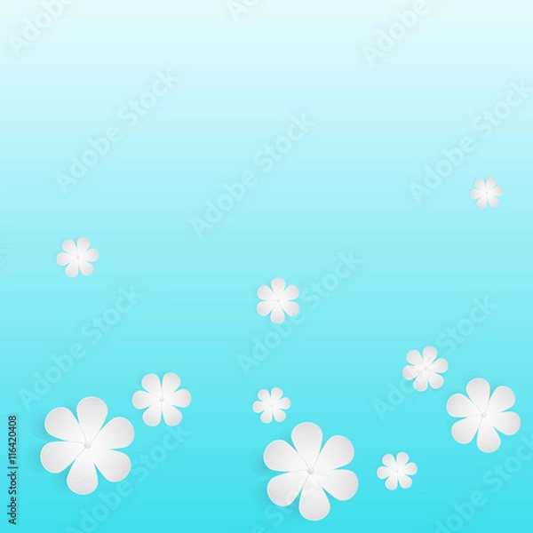 Obraz White flowers blue background