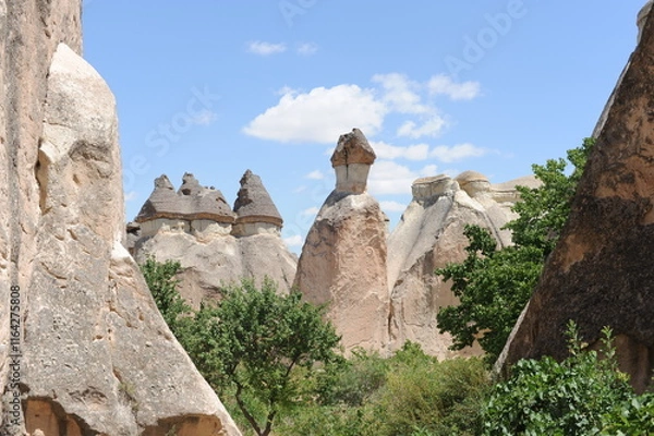 Fototapeta Limestone rock formations (Fairy Chimneys) with blue sky and white clouds in Paşabağ Valley called the Valley of the Priests near Göreme, Anatolia, Cappadocia, Turkey (Türkiye)