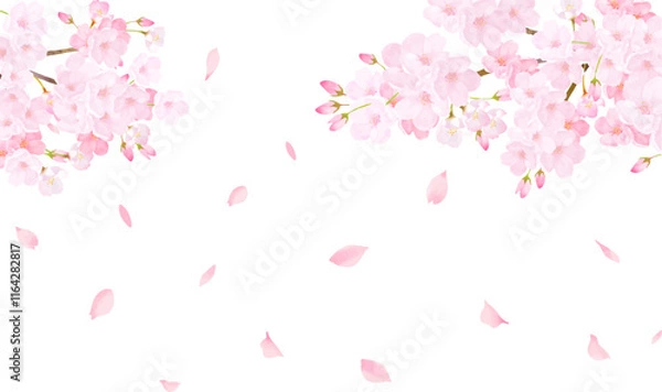 Obraz 桜の木ー美しい薄いピンク色の桜の花と花びら春の水彩白バックフレーム背景素材イラスト