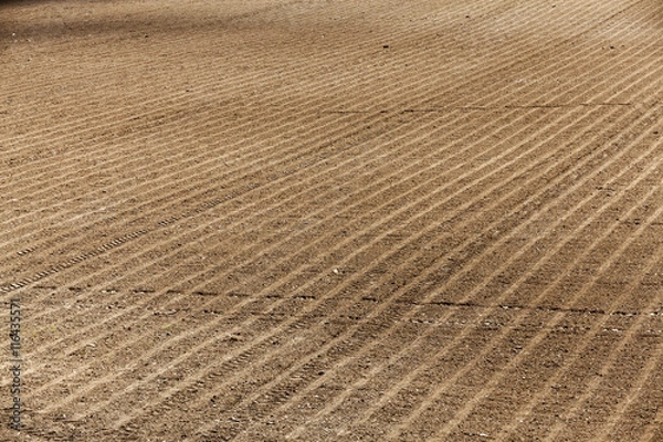 Obraz plowed agricultural field