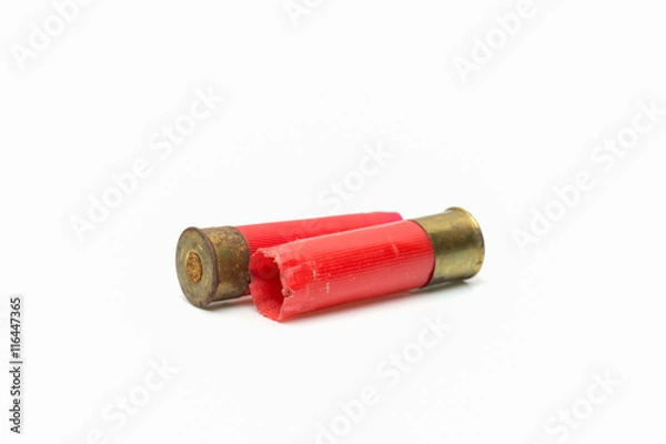 Obraz shotgun shell