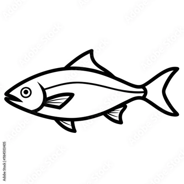 Fototapeta hilsa fish icon line art on White background 