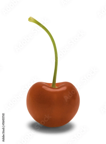 Fototapeta Single Cherry