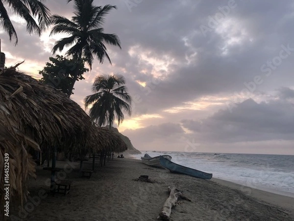 Obraz sunset on the beach