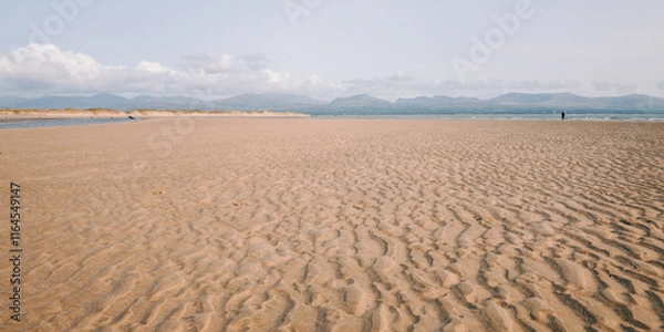 Fototapeta Panoramic view of the sand in newborough beach with snowdonia in the background