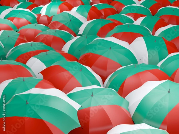 Fototapeta Umbrellas with flag of bulgaria