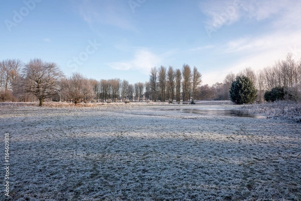 Obraz winter landscape with trees and snow