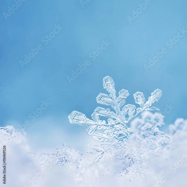 Obraz Pastel Blue Snowflake