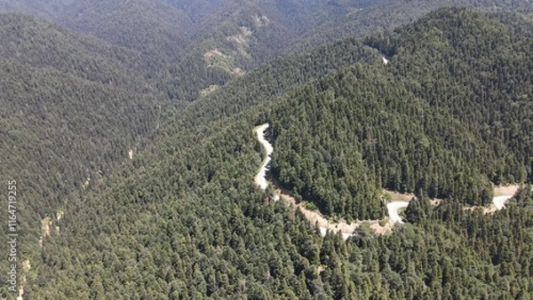 Fototapeta Drone footage of Zigzag Road between Forest