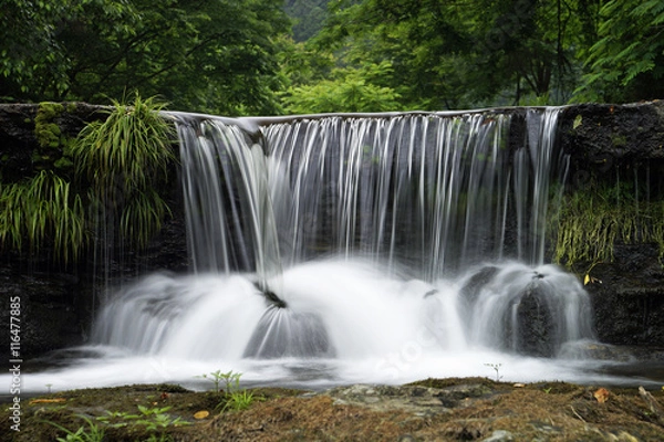 Fototapeta 宮島峡　一の滝