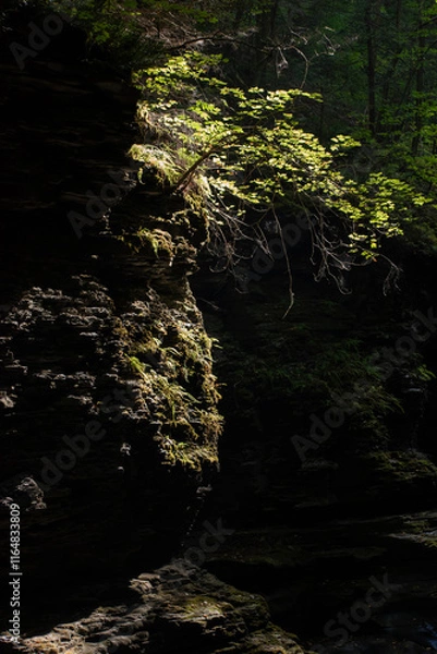 Obraz Sun falling on rocks