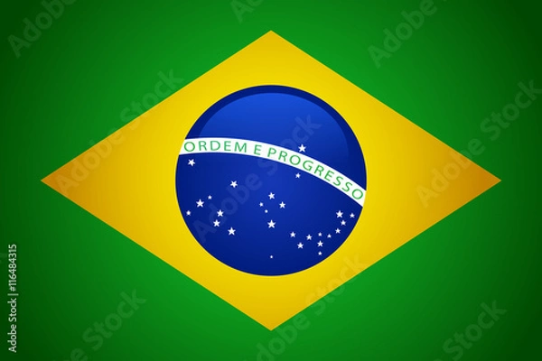 Fototapeta Brazil flag vector