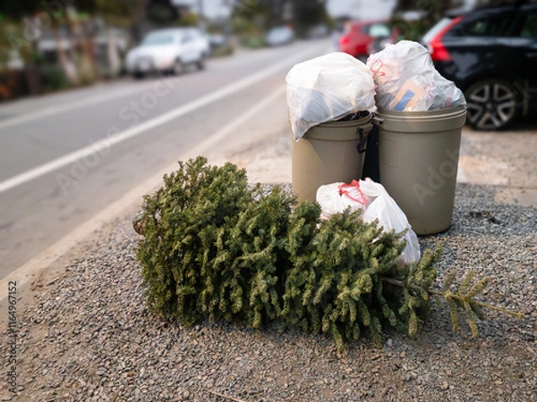 Obraz Discarded Christmas tree near garbage bins along a residential street background