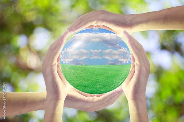 Fototapeta The natural world in the hands of everyone.