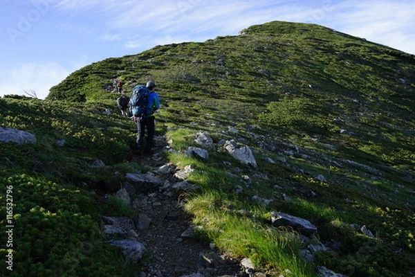 Obraz 双六岳　山頂　眺望　北アルプス　登山　山道　空　絶景　雲海